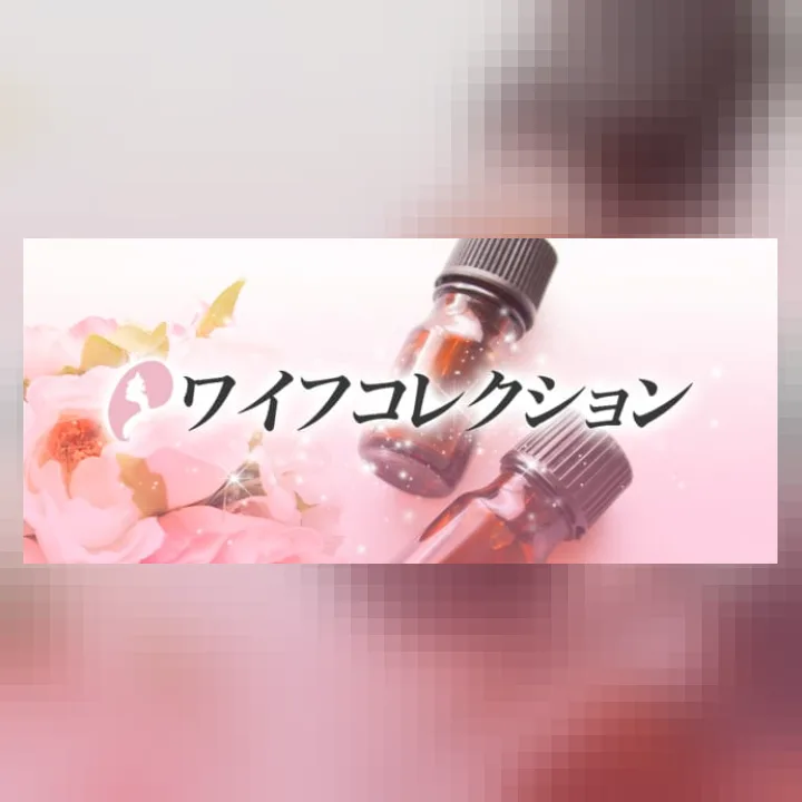 ワイフコレクション