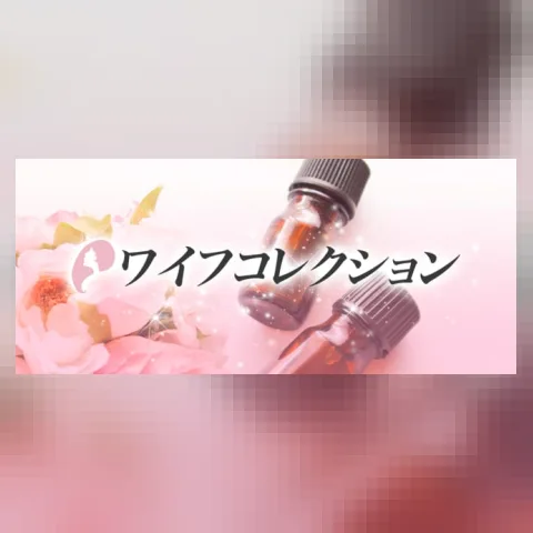 ワイフコレクション