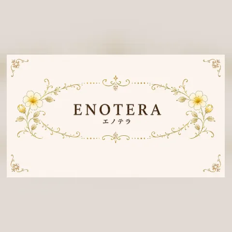 Enotera(エノテラ)