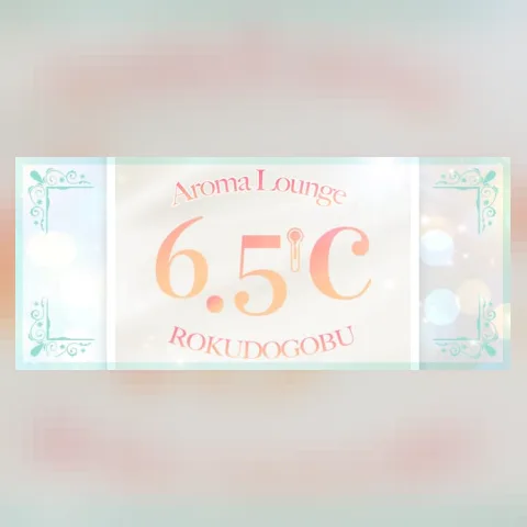 6.5℃