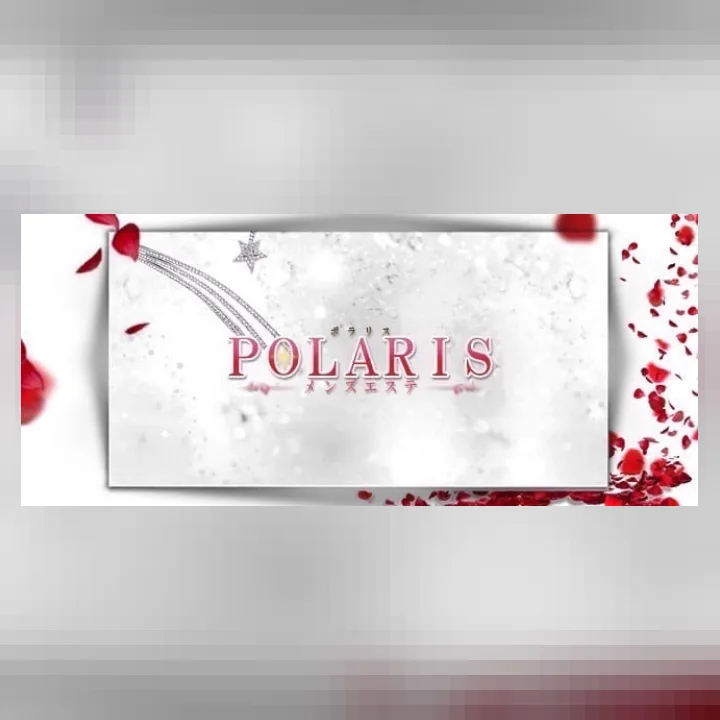 POLARIS(ポラリス)