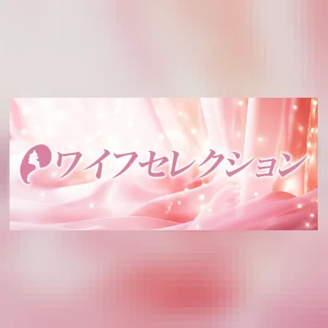 ワイフセレクション